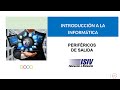 Periféricos de Salida y Conexiones
