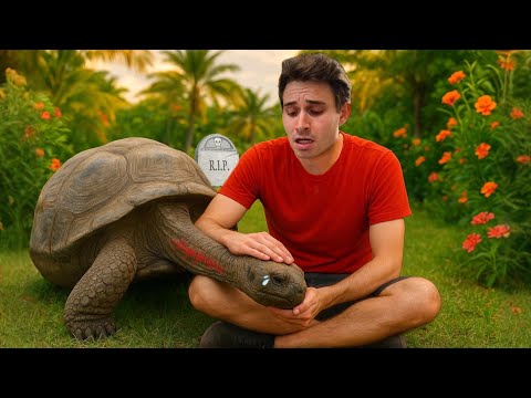 Our Tortoise Was DYING — Here’s How We Saved Him!