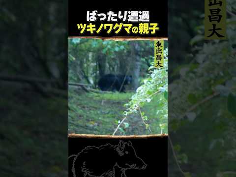 東出昌大 / ツキノワグマの親子