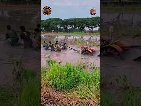 Đất quá lún,5 người phụ máy mới kéo nổi