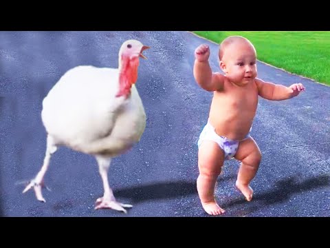 Funny Baby Meet Animals For The First Time || Cool Peachy