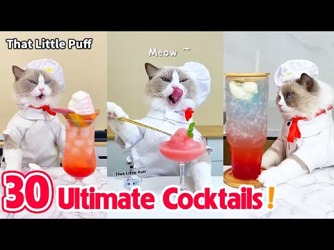 Meow Chef: 30 Ultimate Cocktails! 🍹| That Little Puff