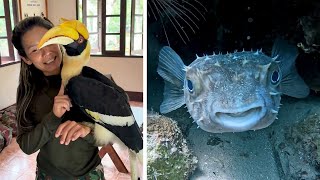 #57 Die besten Videos 2025 || ✪ Stern DuTube