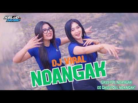 DJ VIRAL NDANGAK NDANGAK - DJ MASHUP VIRAL