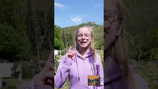 Azubi-Life: Anpacken statt rumsitzen😁 #CampingplatzHetzingen