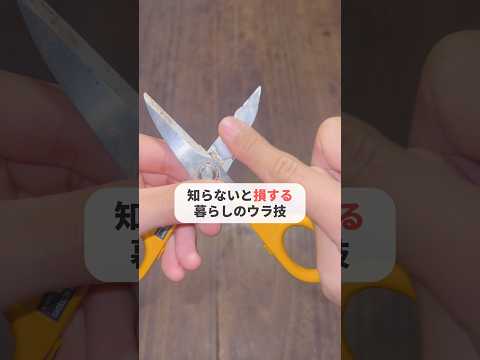 【知らないと大損】暮らしのウラ技