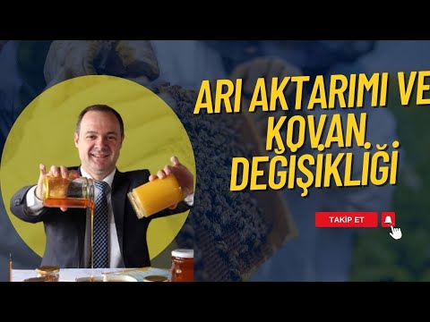 ARI AKTARIMI VE KOVAN DEĞİŞİKLİĞİ I KÖYDE ARICILIK