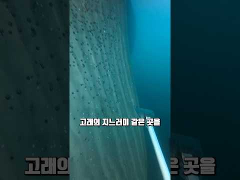 심해공포증은 못한다는 작업