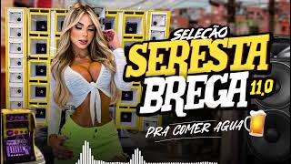 SERESTA BREGA 2025 -11.0 PRA COMER ÁGUA, SO MUSICAS BOA 🔥 MUSICAS NOVA 🚀 PRA PAREDÃO🔊 WM DA SERESTA
