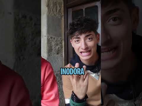 CHICAS TIK TOKERS SE ENFRENTAN A UN EXAMEN DE PRIMARIA!