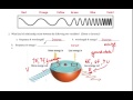 Electron Behavior and Charge Concepts