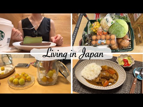 shopping at Muji, grocery shopping, make plum syrup and Japanese curry | Japan vlog