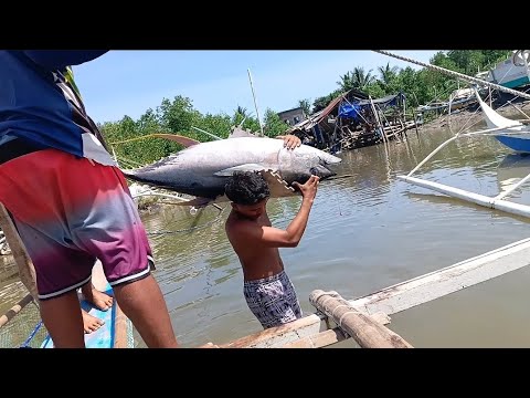SWERTE ANG DAMING HULING TUNA
