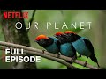 Exploring Our Planet's Natural Wonders and Climate Impact