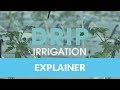 Water Usage in Agriculture and Greenhouses