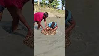 কত বড় মাছ কিভাবে দরল।
