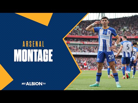 Montage: Albion Stun Guns