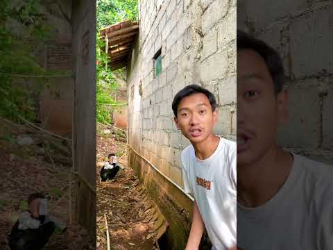 Anomali mamamat tomat #diy #kreatif #art #craft #viralshort