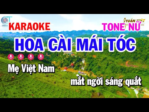 Karaoke Hoa Cài Mái Tóc Remix – Tone Nữ Nhạc Sống Hay