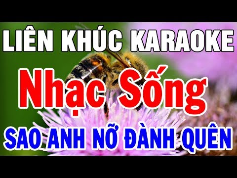 Karaoke Nhạc Sống Trữ Tình Bolero Hải Ngoại | Liên Khúc Sao Anh Nỡ Đành Quên | Trọng Hiếu