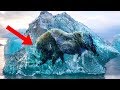 Ice Ages and Climate Change Concepts