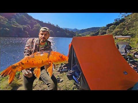 ESTO SOLO SALE EN EL MEDIO DE LA MONTAÑA🏔!!! PESCA UNICA! 🎣🐟