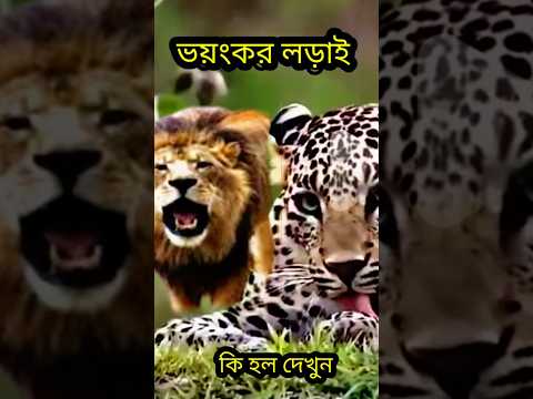 বাঘ সিংহের ভয়ানক লড়াই mini wood toy-wood working art skill \hand craft\#tiger #lion #shorts #reels