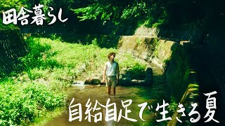 【30代田舎暮らし家族】娘と初めて過ごす夏の自給自足生活 #276