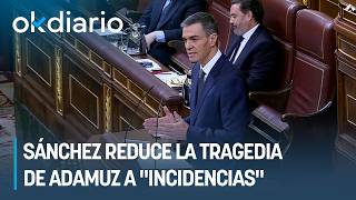 Sánchez reduce la tragedia de Adamuz a "incidencias" como causadas por "animales que cruzan vías"
