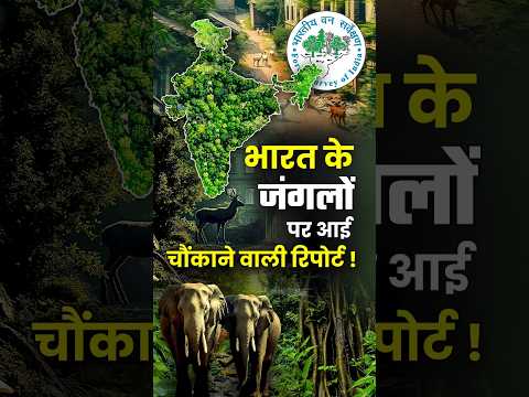 Bharat के जंगलों पर आई चौंकाने वाली Report! 😱 #india #indiaforestreport2023 #environment