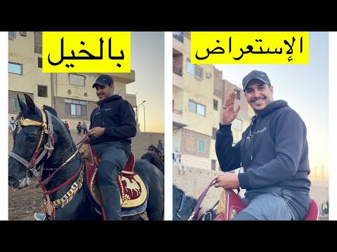 الاستعراض بالخيل عند الصعايدة واحتفالاتهم بالمولد