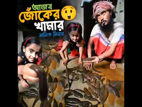 বাংলাদেশে মানিক মিয়ার জোঁকের খামার 😲🇧🇩 Monster leech farming in bangladesh