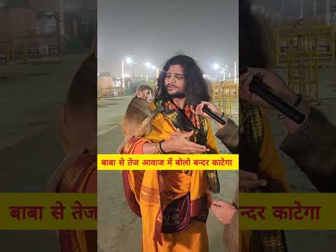 बाबा से तेज आवाज में बात करें तो काट लेगा #monkey #monkeyface