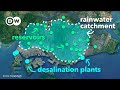 Singapore's Water Management Strategies