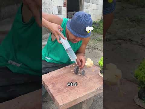 Giving this little kid an injection, this little kid is really scared, hahahaha. #funny