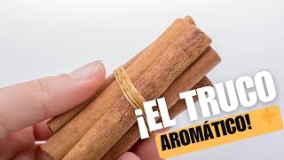 Olvida los ambientadores la CANELA hará que tu casa huela increíble siempre