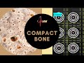 Bone Structure and Function Concepts