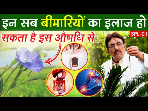 Natural Home Remedies ||  शरीर की कई बीमारियों से दिला सकता है राहत  | alsi seeds benefits