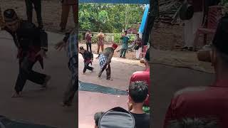 silat pangean