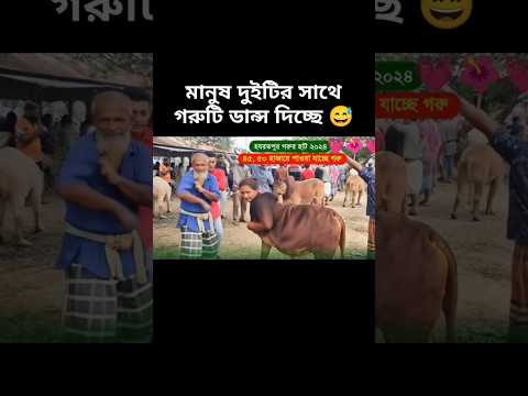 how possible😱 cow dancing #sorts #sortvideo #viralshort #cow #dance #foryou #ai #edit #funny