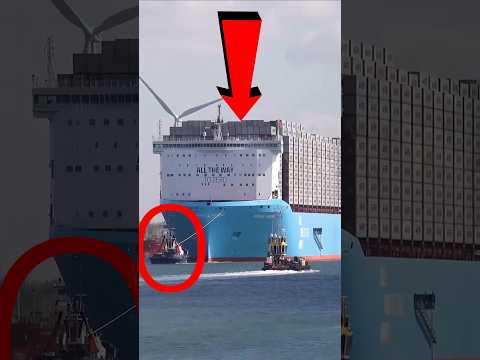 കപ്പലിനെ വലിക്കുന്ന കുഞ്ഞൻ 🔥🔥🔥 #shortsviral #malayalamvartha #malayalam #malayalamnews #shortvideos