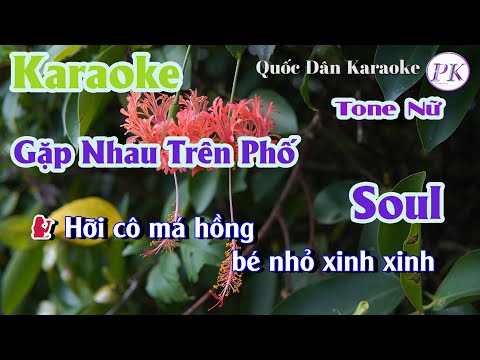 Karaoke Gặp Nhau Trên Phố | Soul | Tone Nữ (Am,Tp:113) | Quốc Dân Karaoke