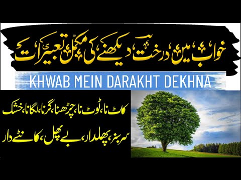 Khwab Mein Darakht Dekhna | Charhna Girna Katna Lagana Purana Sukha Hara Bhara Bahut Bara Chota