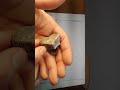 Mineral Properties and Characteristics