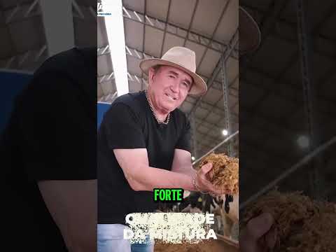 MAIOR FAZENDEIRO DO BRASIL? Faturamento MILIONÁRIO de Amado Batista REVELADO por Sérgio Reis!