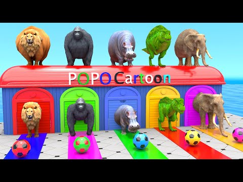 Mammoth Elephant Lion Gorilla T-Rex, 3d Animal Long Slide Game Funny, 3d Paint Animals Cage Game