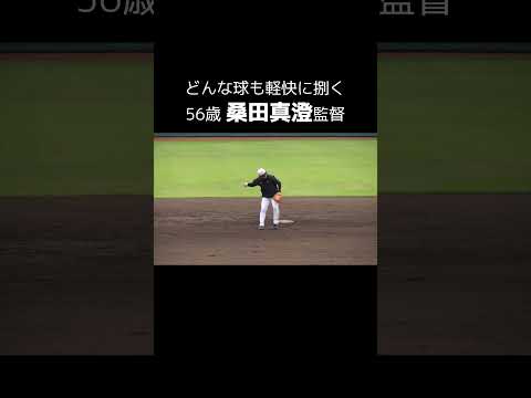 【巨人】どんな球も軽快に捌く桑田真澄監督　#shorts #baseball #sports #ジャイアンツ #巨人 #プロ野球
