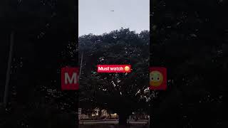 😳 Ye kya hai ? #trendingshorts #viralvideo #shortvideo