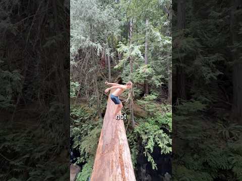 My Top 3 Gnarliest Cliff Jumps!🤯