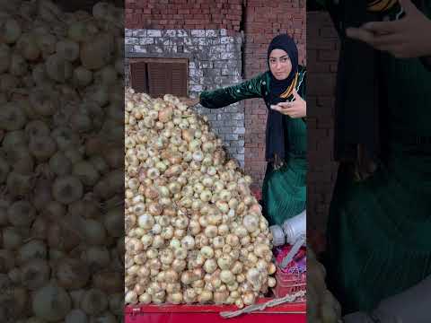 حنان بتاجر في البصل